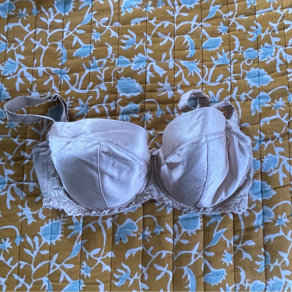 Ewa Michalak S Bra 70GG